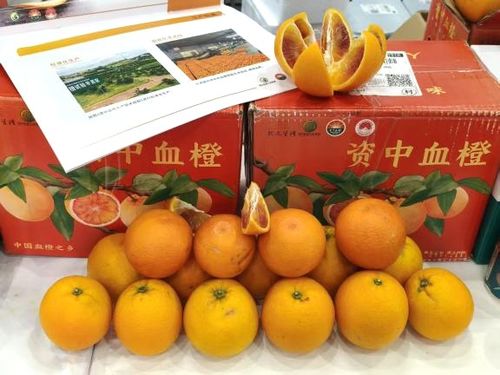 資中血橙閃耀2025北京國際農產品博覽會，斬獲金獎