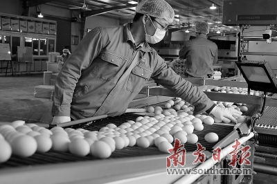 農產品流通恢復常態化 市場供需趨于平衡 價格穩中有跌