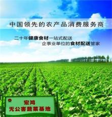 南京宏潤鴻 深耕初級農產品領域，守護餐桌源頭健康