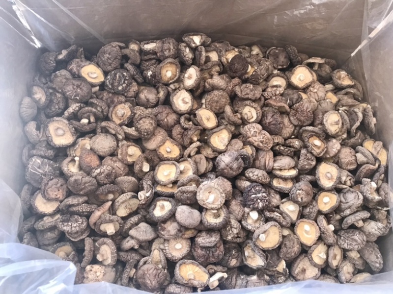 河南泌陽干香菇批發(fā)市場探析 品質(zhì)與價格的平衡點(diǎn)